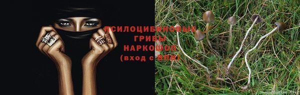 jwh Нефтегорск