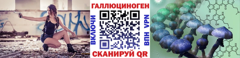 купить наркотики сайты МЕГА как зайти Галлюциногенные грибы Cubensis Грозный