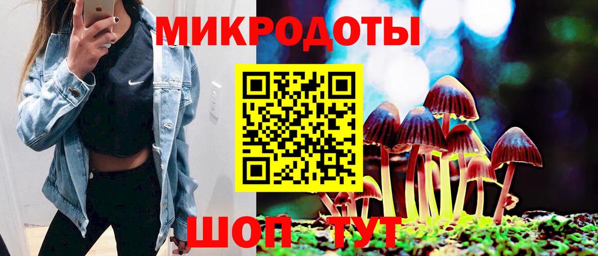 Грозный  Псилоцибиновые грибы GOLDEN TEACHER  Вход с VPN 