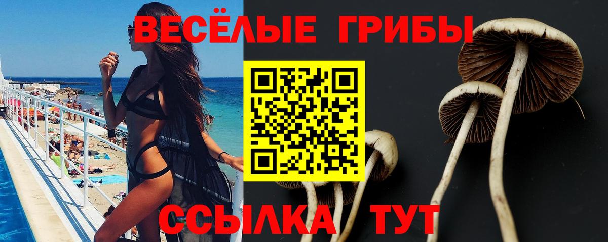 Конопля Грозный