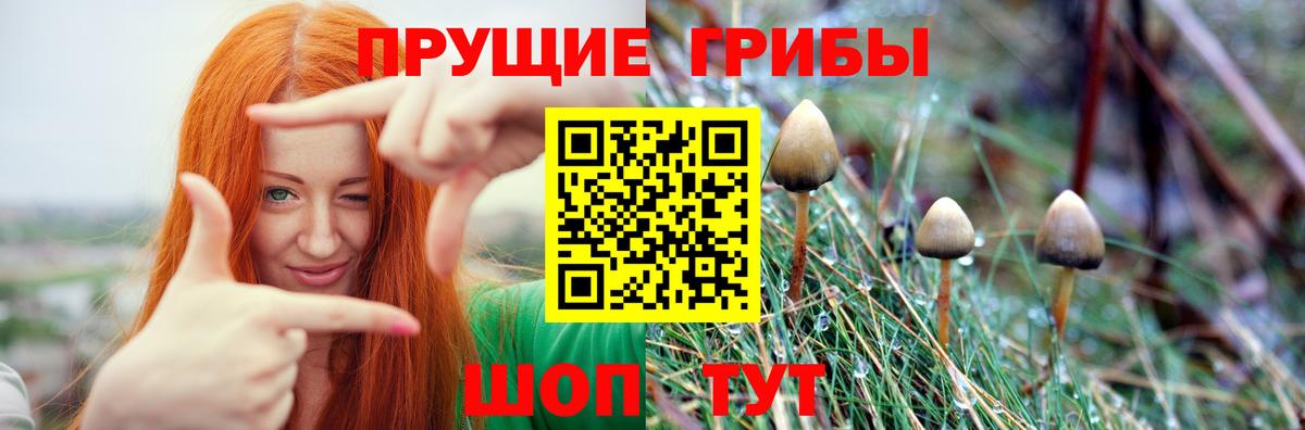Псилоцибиновые грибы MAGIC MUSHROOMS Грозный