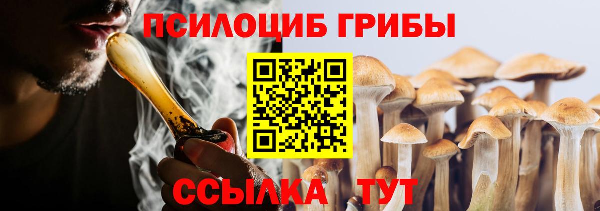 Галлюциногенные грибы прущие грибы Грозный